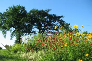 Journées Nationales de l'agriculture - visite de la ferme du Jardin de Beyssin