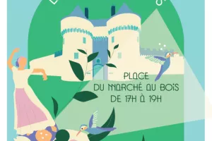 Soirée sportive - Pétanque et football gaélique