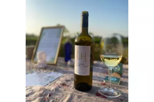 Music & Wine concert au cœur des vignes
