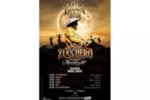 Zucchero