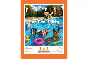 Dog Pool Party