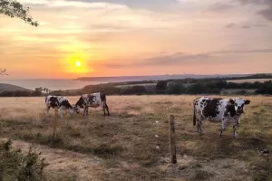 Visite libre de la Ferme des Monts
