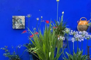 Réflexion sensible sur la notion de regard dans un espace clos