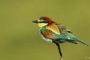 LA NATURE AU FIL DES SAISONS