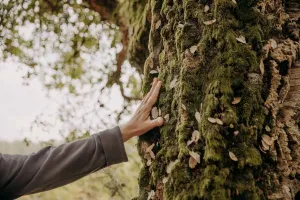 Bain de forêt / Quiétude et nature