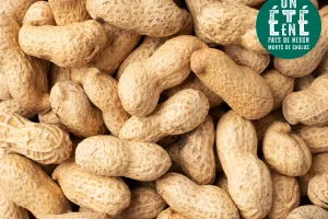 À la rencontre des artisans - La torréfaction Cahu