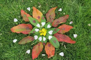 Petits artistes de la nature (Land art)
