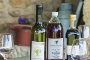 Pique-niques vignerons