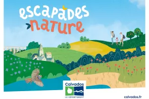 Environnement et créatures de la plage