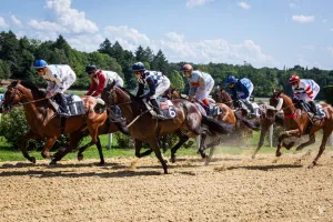 Courses hippiques : Fête du cheval
