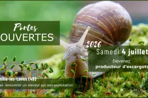 Portes ouvertes - Devenez producteur d'escargots (49)