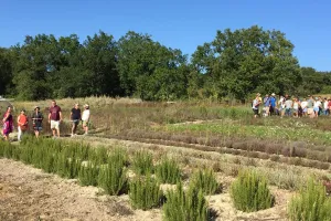 Visite de la ferme bio Néoherba