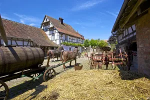 Mercredi à la campagne