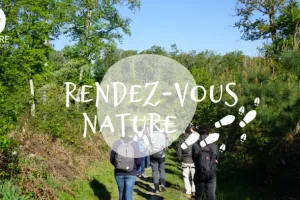 30/05 - Mandala de gratitude en pleine nature
