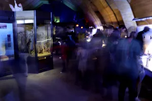 Le Blésois, carrefour de régions naturelles, à la lampe torche