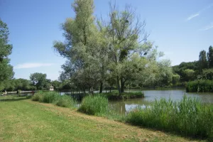 Randonnée dans les communes à Pleumartin