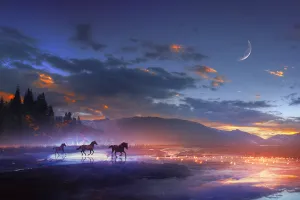 Rêver avec les chevaux