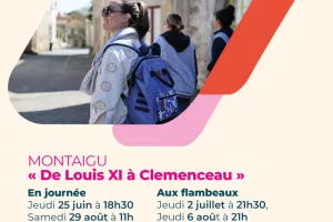 De Louis XI à Clémenceau - Visite guidée
