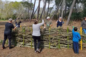 Fabrication d'une haie sèche pour la biodiversité