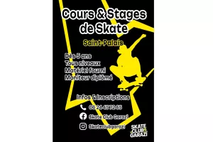 Stage de skateboard
