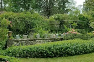 Découverte et promenade dans le jardin