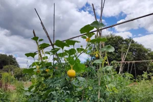 Initiez-vous à la permaculture à St-Laurent-les-Eglises - Septembre