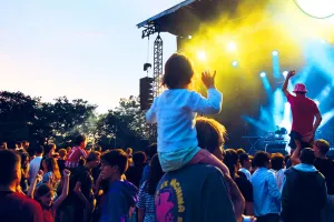 Festi plaine