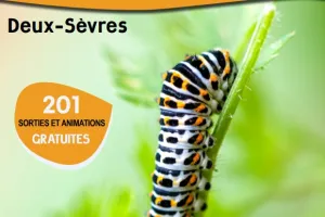 Sortie nature - Vannerie au jardin