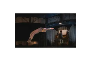 Espaces Pluriels - Strano - Cirque Trottola