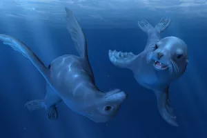 Casque à réalité virtuelle : Les fonds marins