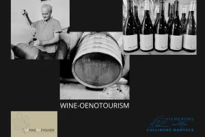 SOIREE OENOLOGIQUE AU MAS DU FIGUIER