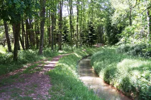 LECTURE DE PAYSAGE AMBULATOIRE