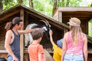 Les vacances d'été au Thot