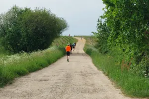 Les Foulées du Vignoble Martillacais