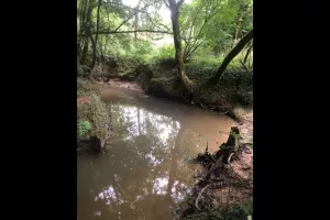 Découverte de la biodiversité au fil de l'eau
