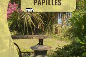 Mini-Circuit : Jardin des papilles