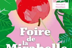 Foire de la Mirabelle