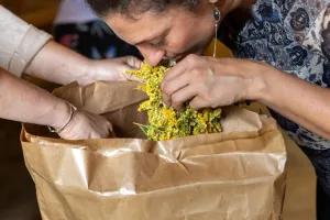 Créez votre infusion à St-Laurent-les-Eglises - Septembre