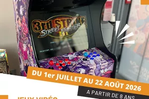 Atelier Geek Lab - Borne d'arcade : Pixel Party