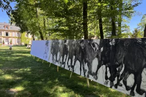 Atelier Hors les murs... pour de vrai !