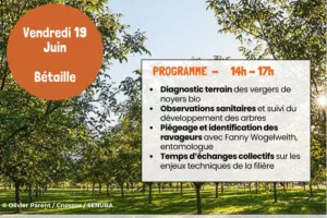 Bout de Champs spécial noix bio dans le Lot : rendez-vous le 19 juin à Bétaille !
