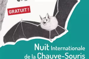 Nuit Internationale de la Chauve-souris