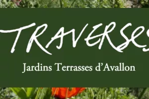 Visite Jardins terrasses - Plantes à soigner, plantes à croquer