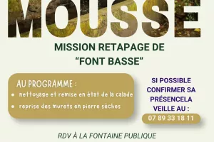 Pierres et mousse : retaper la fontaine Font basse
