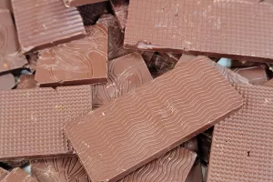 Atelier chocologie