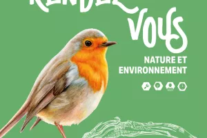 Atelier plantation des citrouilles