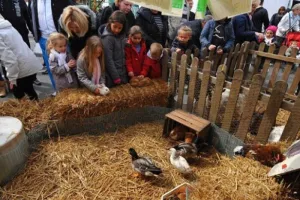 SORTIE À LA FERME DE GRAVELINES