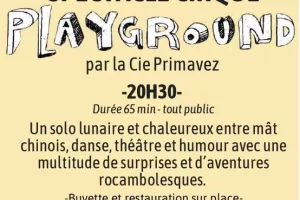 Spectacle cirque Playground