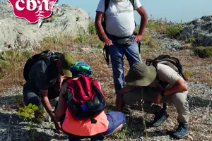 Balade nature - Les plantes et les oiseaux du littoral des Salins (Hyères - 83)