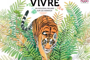 Rencontre d'auteur - Les animaux, super-héros
